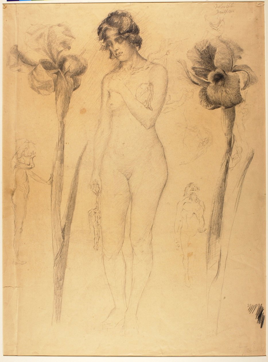 Nudo e Iris da Solon H. Borglum