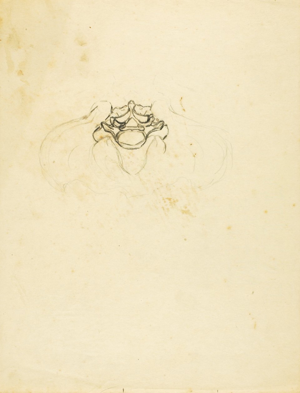 Bacino da Solon H. Borglum