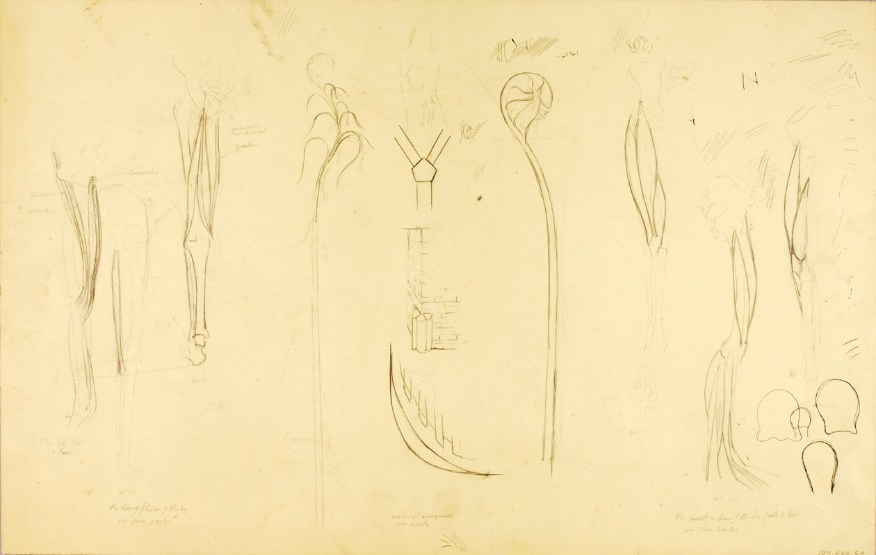 "Studio "Costruzione del suono da Solon H. Borglum