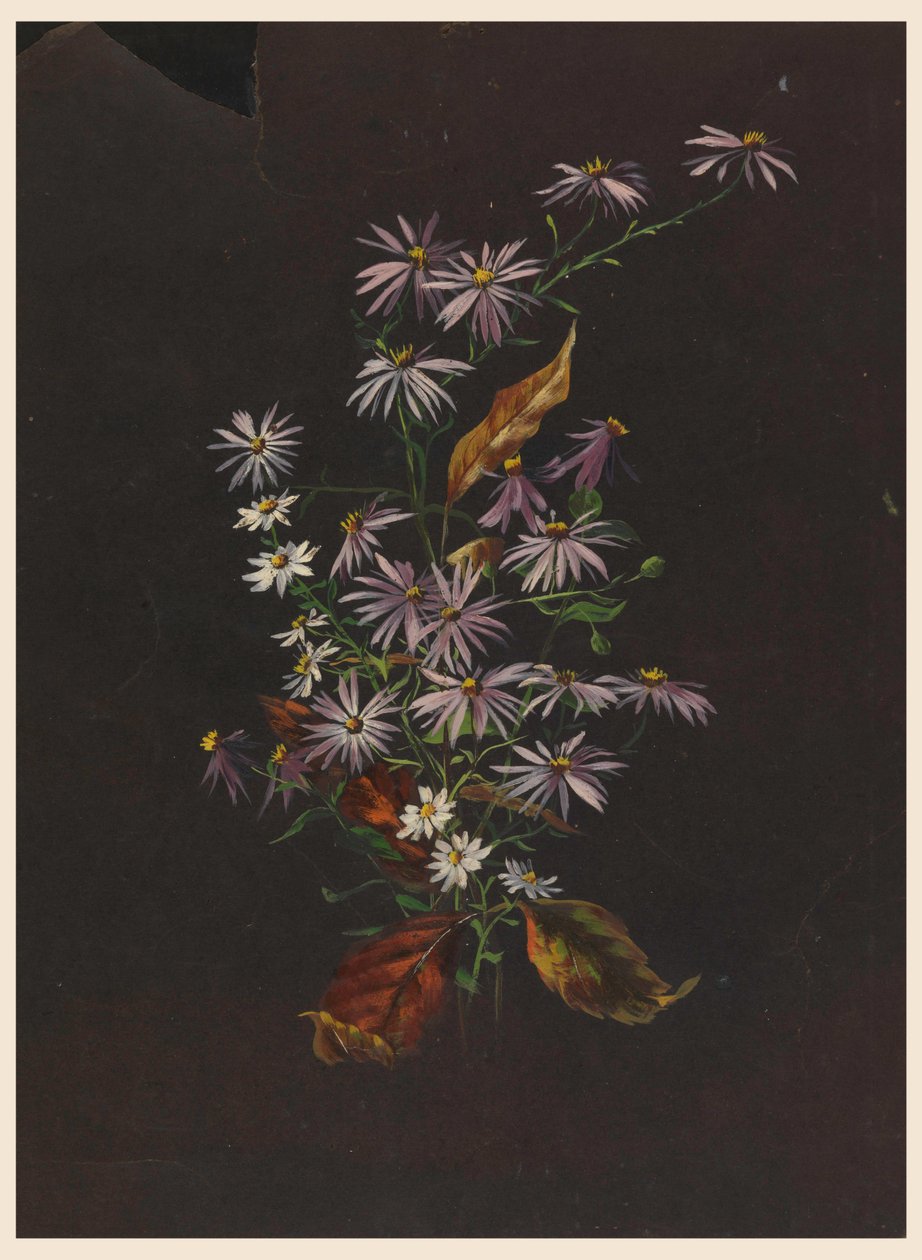 Bouquet autunnale, ca. 1890 da Sophia L. Crownfield