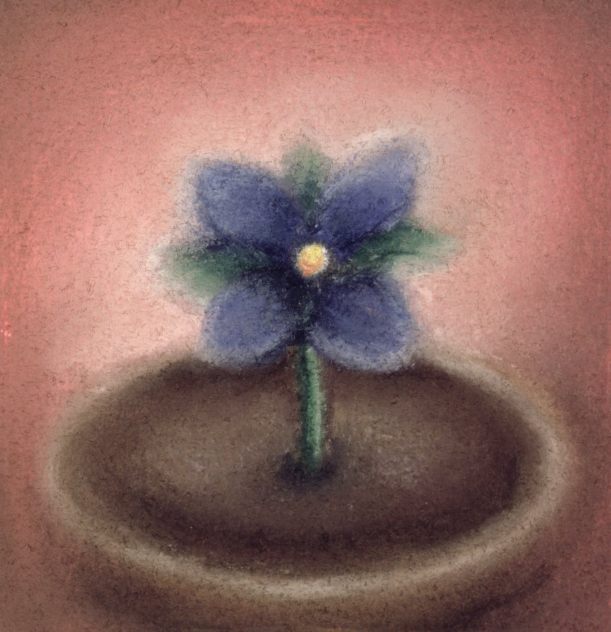Piccolo fiore da Sophie Hacker