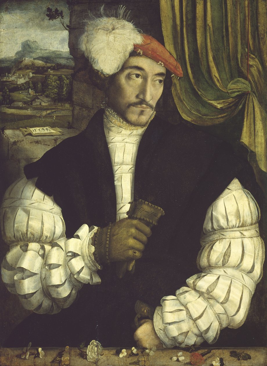 Ritratto di un uomo, 1533 da South German School