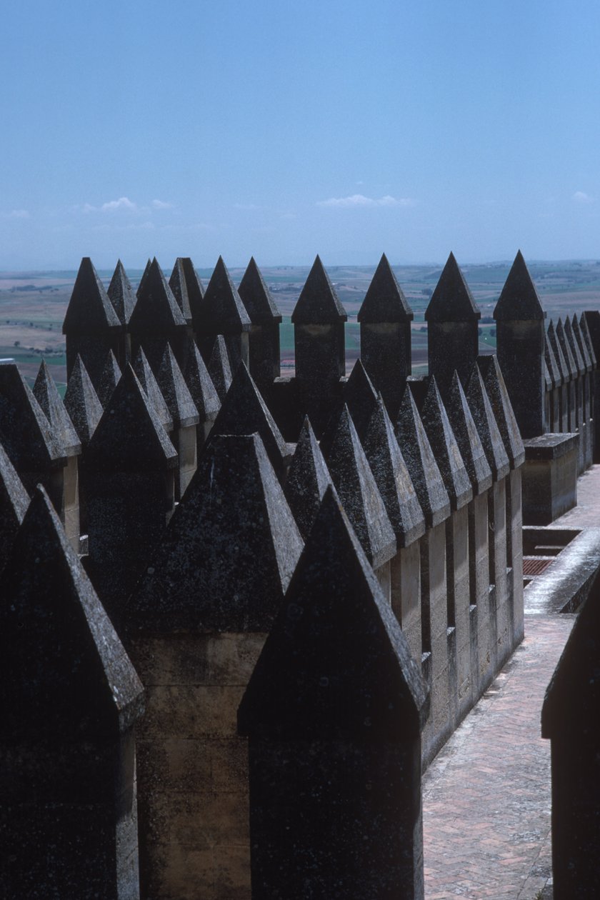 I merli del castello da Spanish School