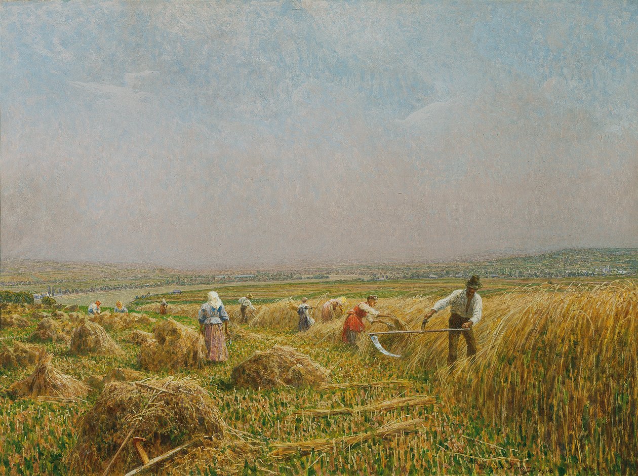 Mietitore da Stefan Simony