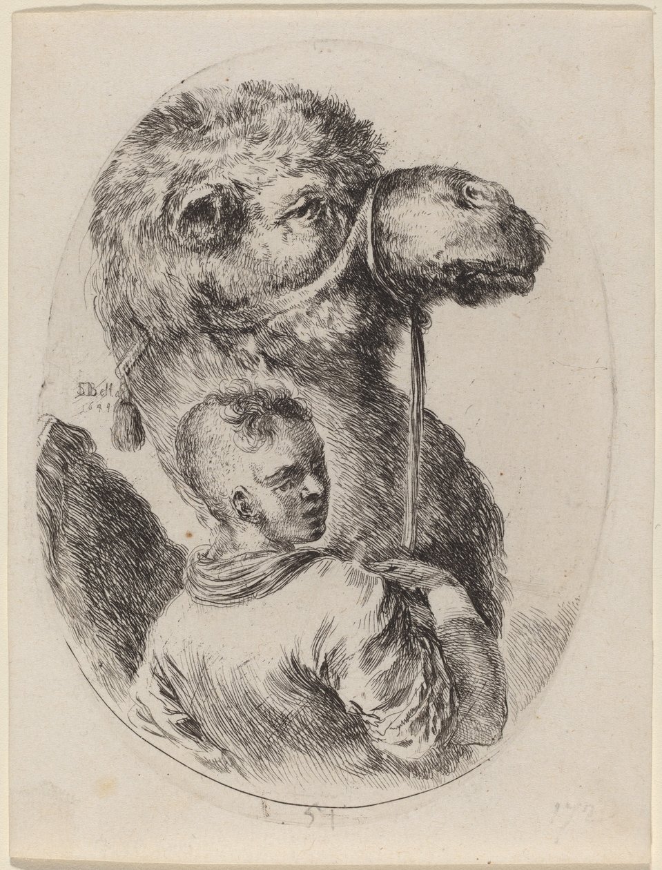 Cavaliere con un cammello, 1649 da Stefano della Bella