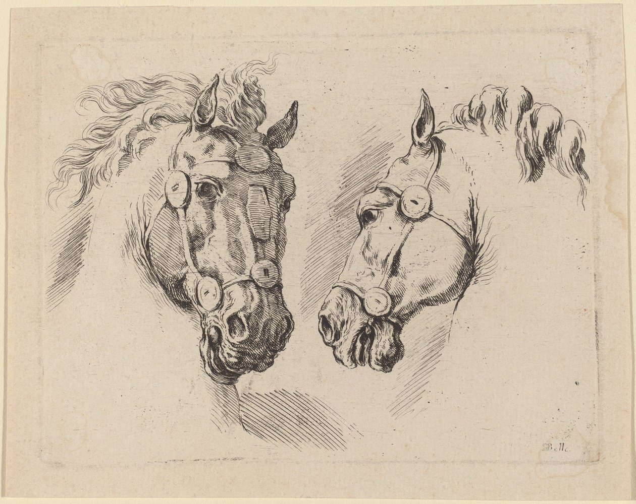 Due teste di cavallo, probabilmente 1649 da Stefano della Bella