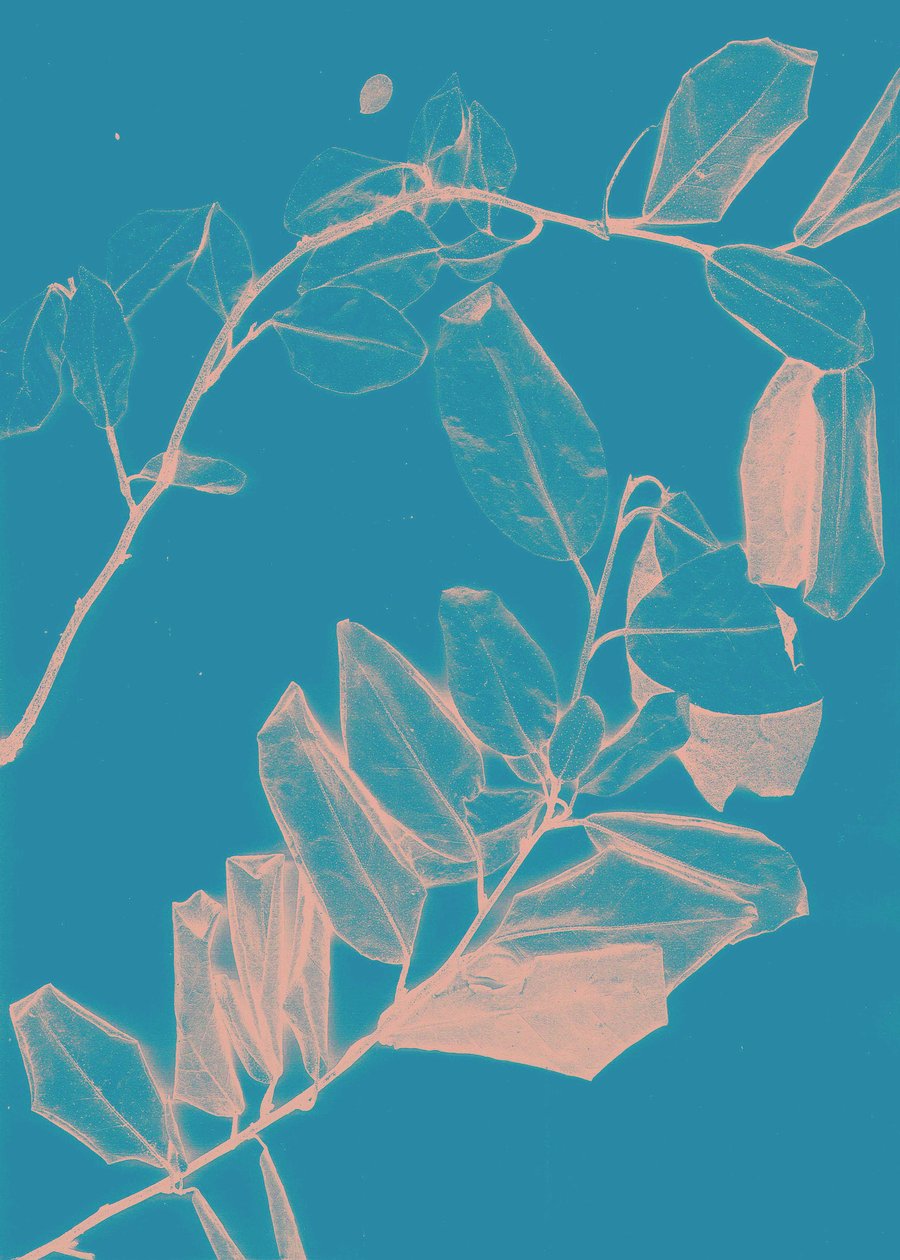 Freyr VI Alba, 2018 (digitale) da Stephen Dow