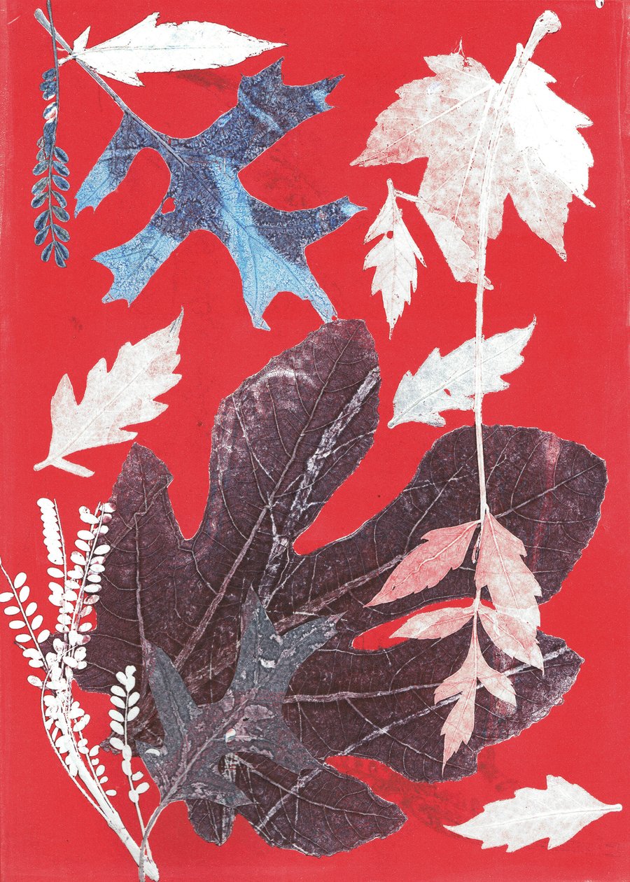 Jol XII, 2017 (monoprint su carta) da Stephen Dow