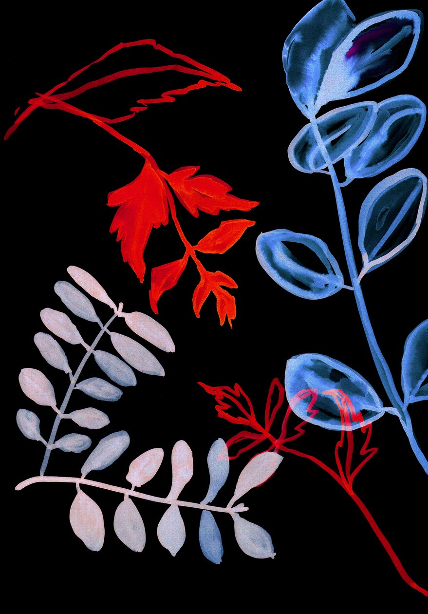 Flora notturna IV, 2018 (digitale) da Stephen Dow