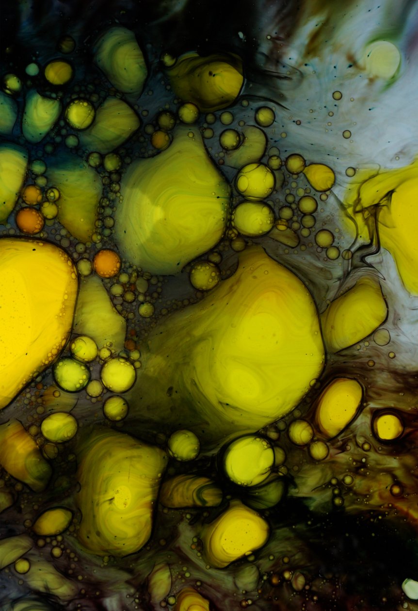 Pittura a olio, 2024 da Steve Pavlovsky