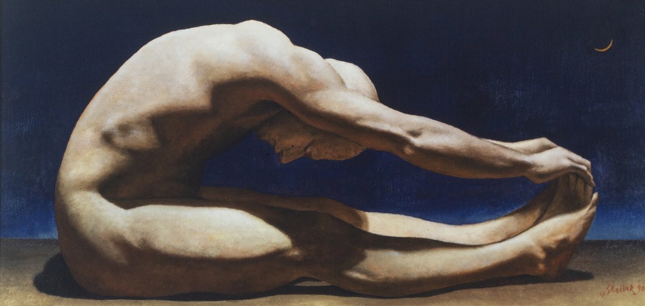 La Luna da Steven Skollar