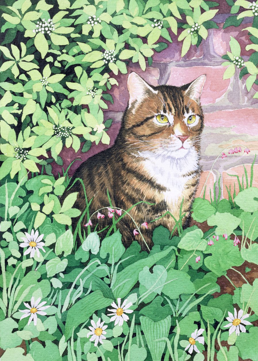 Il gatto di Jackie (design del giardino) da Suzanne Bailey