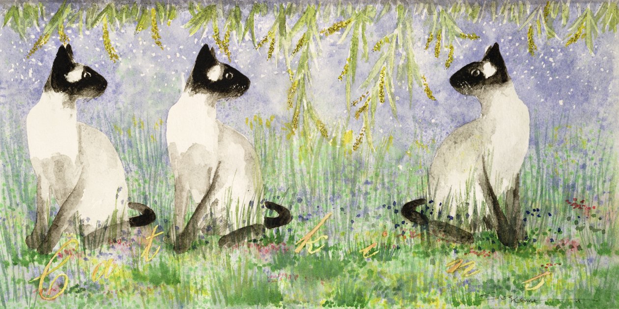Gattini da Suzi Kennett