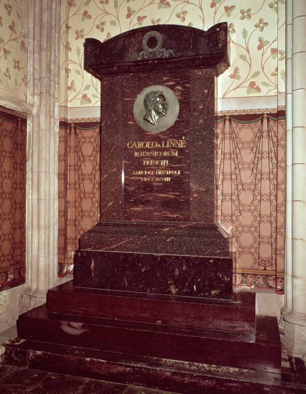 La tomba di Carl Linnaeus (1707-78) da Swedish School