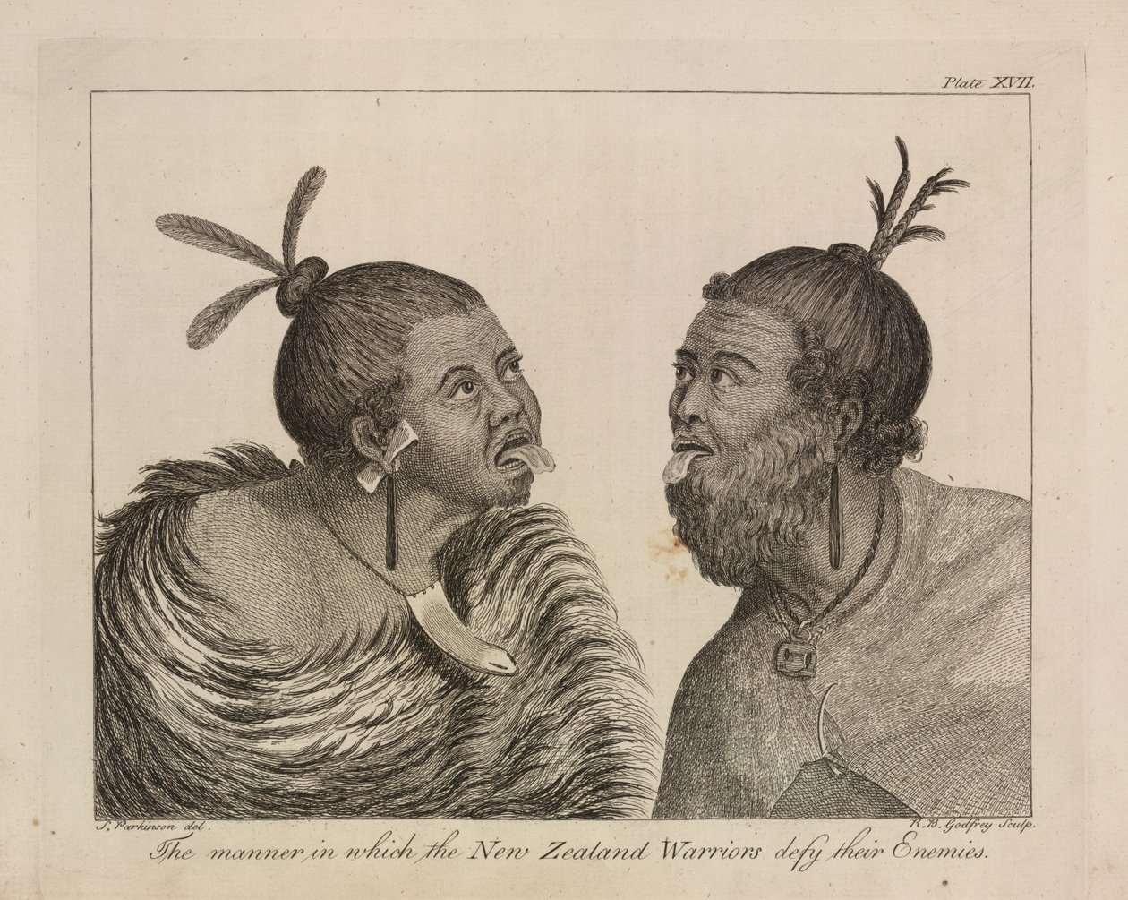 L.R.294.c.7, tavola XVII Guerrieri neozelandesi da Sydney (after) Parkinson