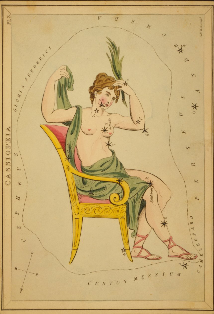 Cassiopea, illustrazione da 