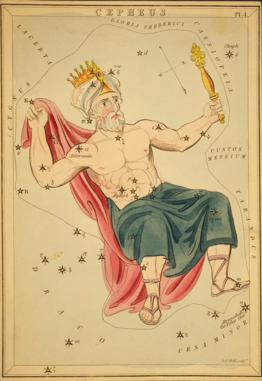 Cepheus, Illustrazione da 