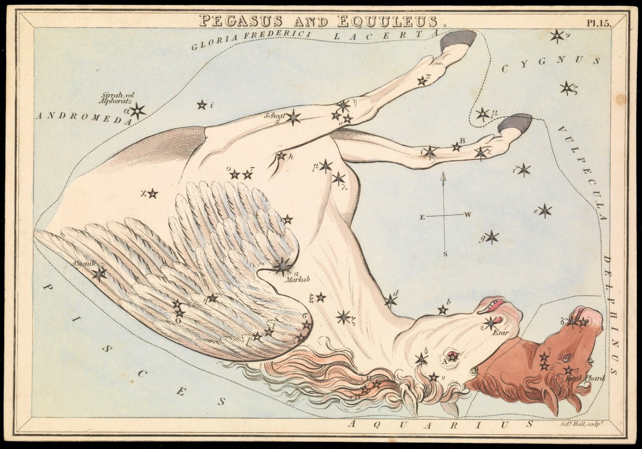 Pegaso ed Equuleus, c.1825 da Sydney Hall