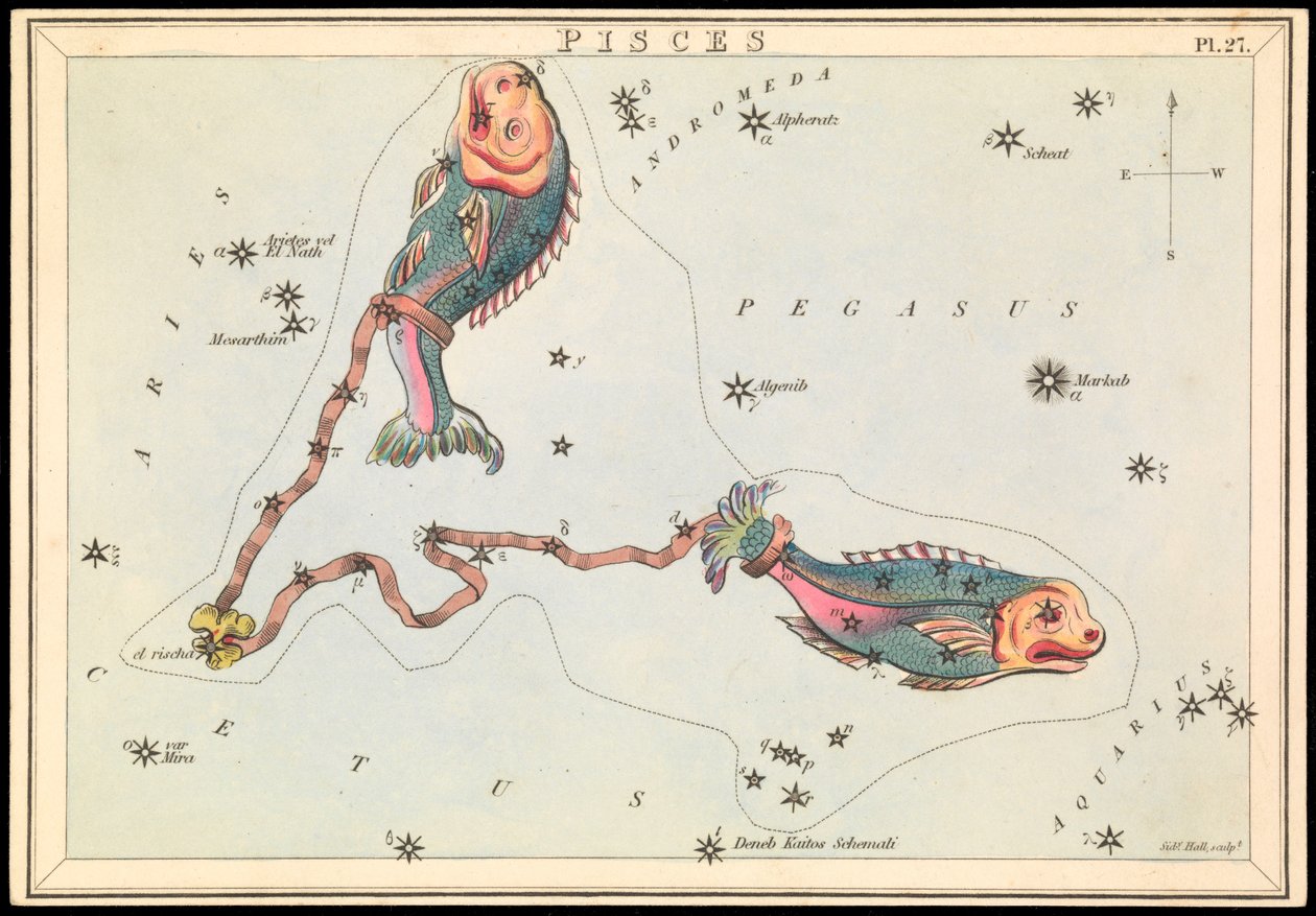 Pesci, c.1825 da Sydney Hall
