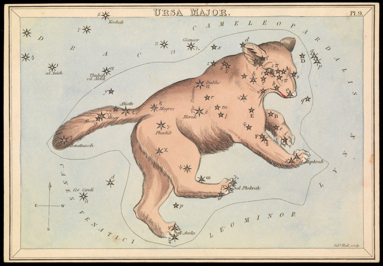 Orsa Maggiore, c.1825 (cartone, carta, tessuto) da Sydney Hall