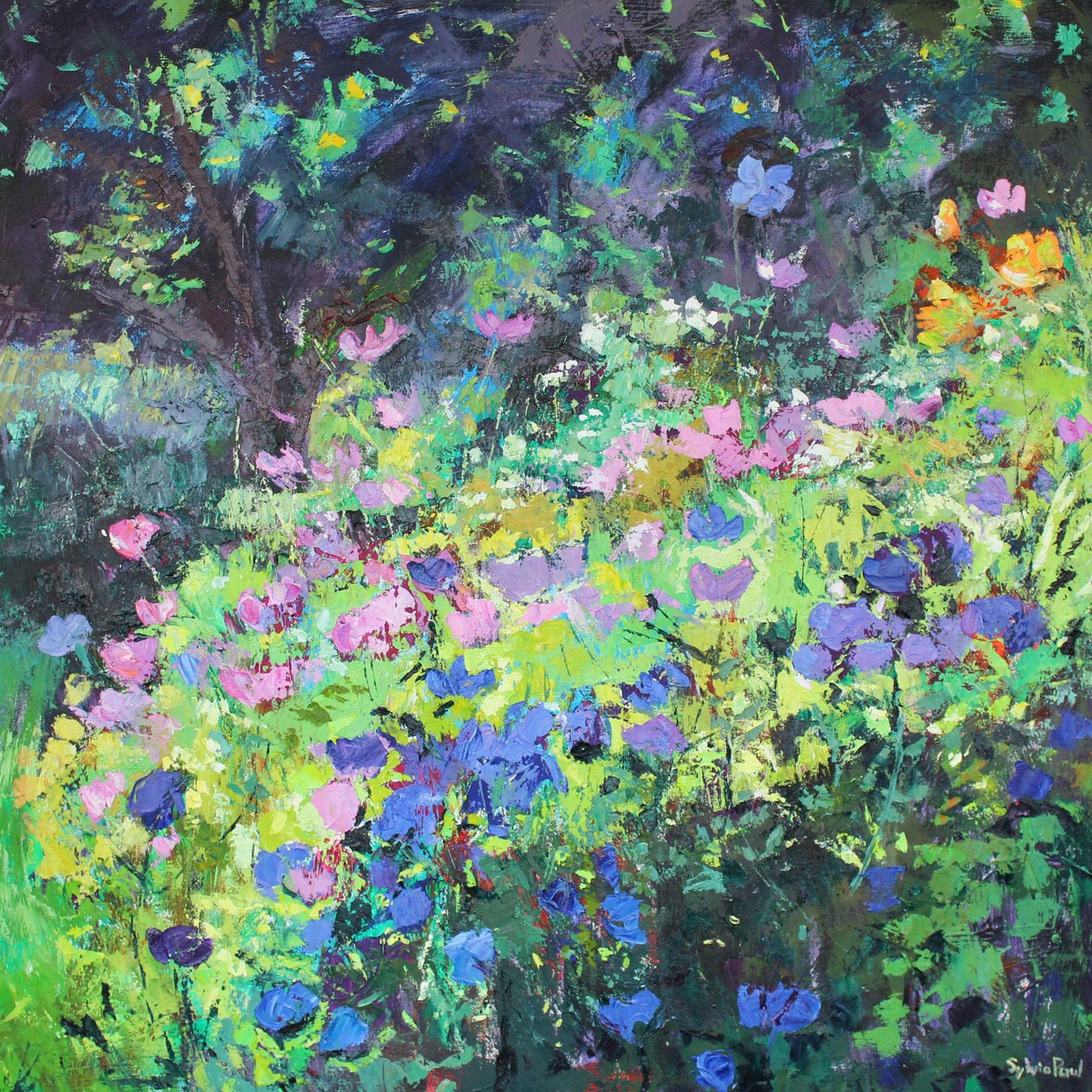 Gioco di luce da Sylvia Paul