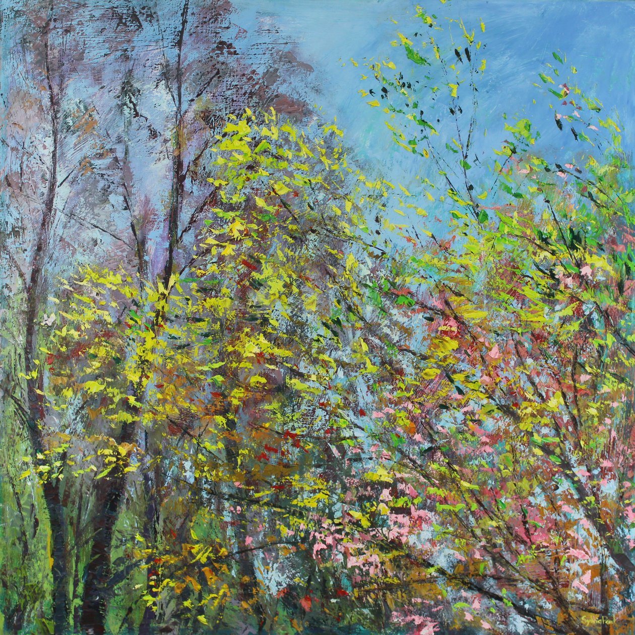 Foglie Delicate di Primavera da Sylvia Paul