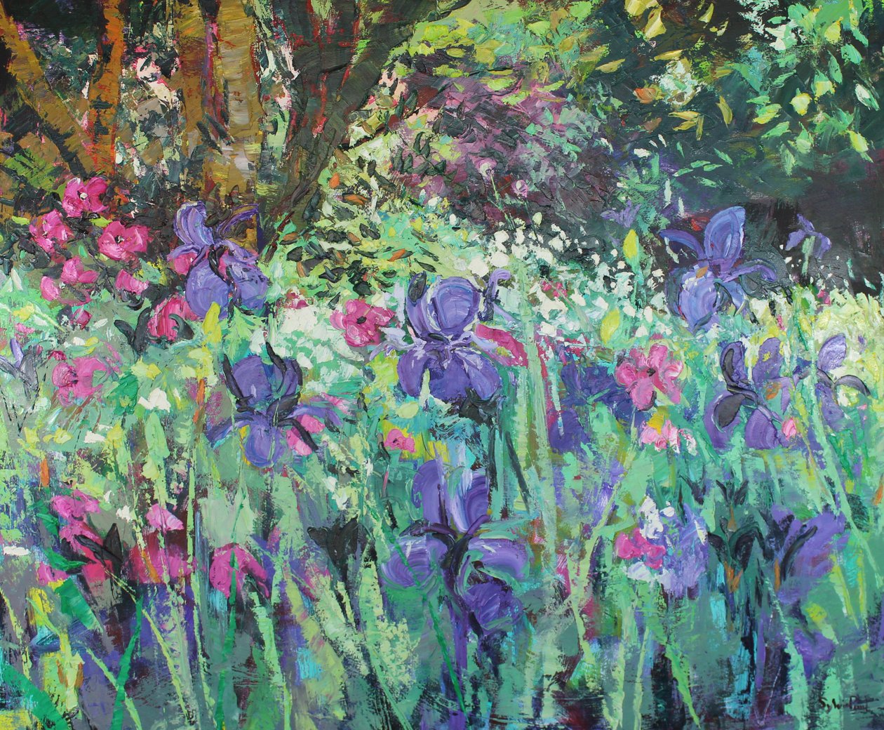 Giardino di iris da Sylvia Paul