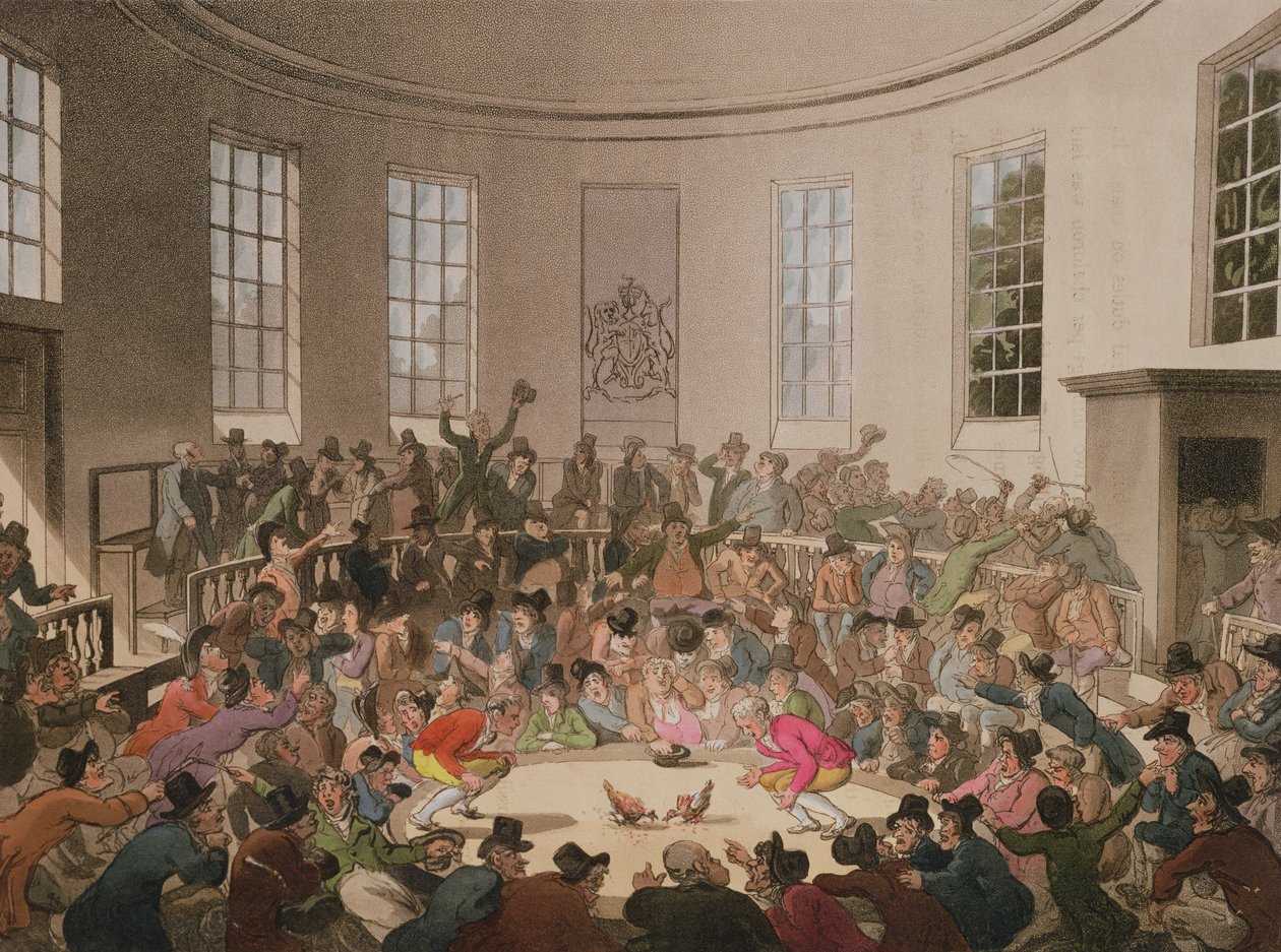 Royal Cock Pit, 1808 da Pugin and Rowlandson