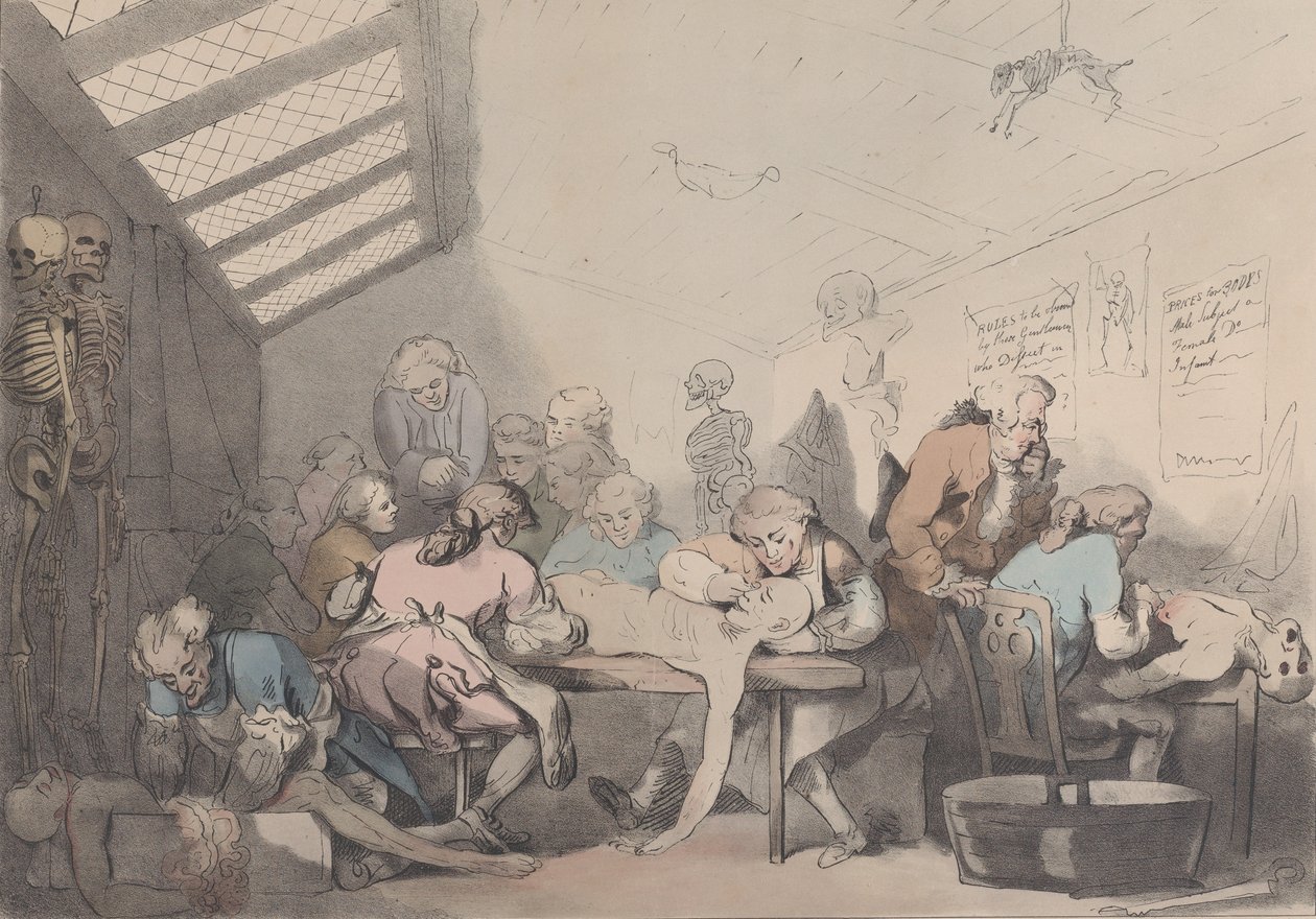 La sala delle dissezioni da T. C. Wilson