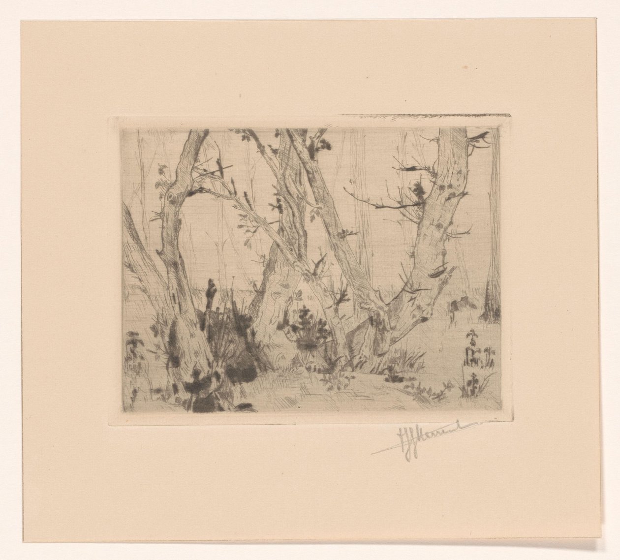 Veduta del bosco da T. Sterrenburg (signed by artist)