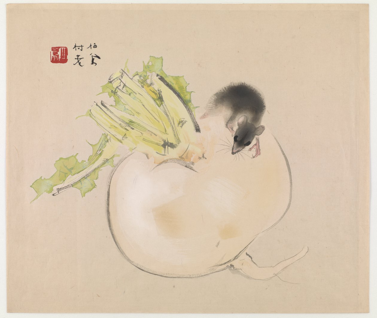Ravanello bianco (Daikon) e topo da Takeuchi Seiho