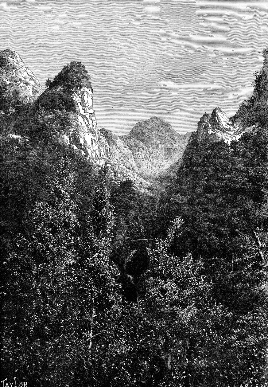 Madeira, Portogallo, 1895 da Taylor
