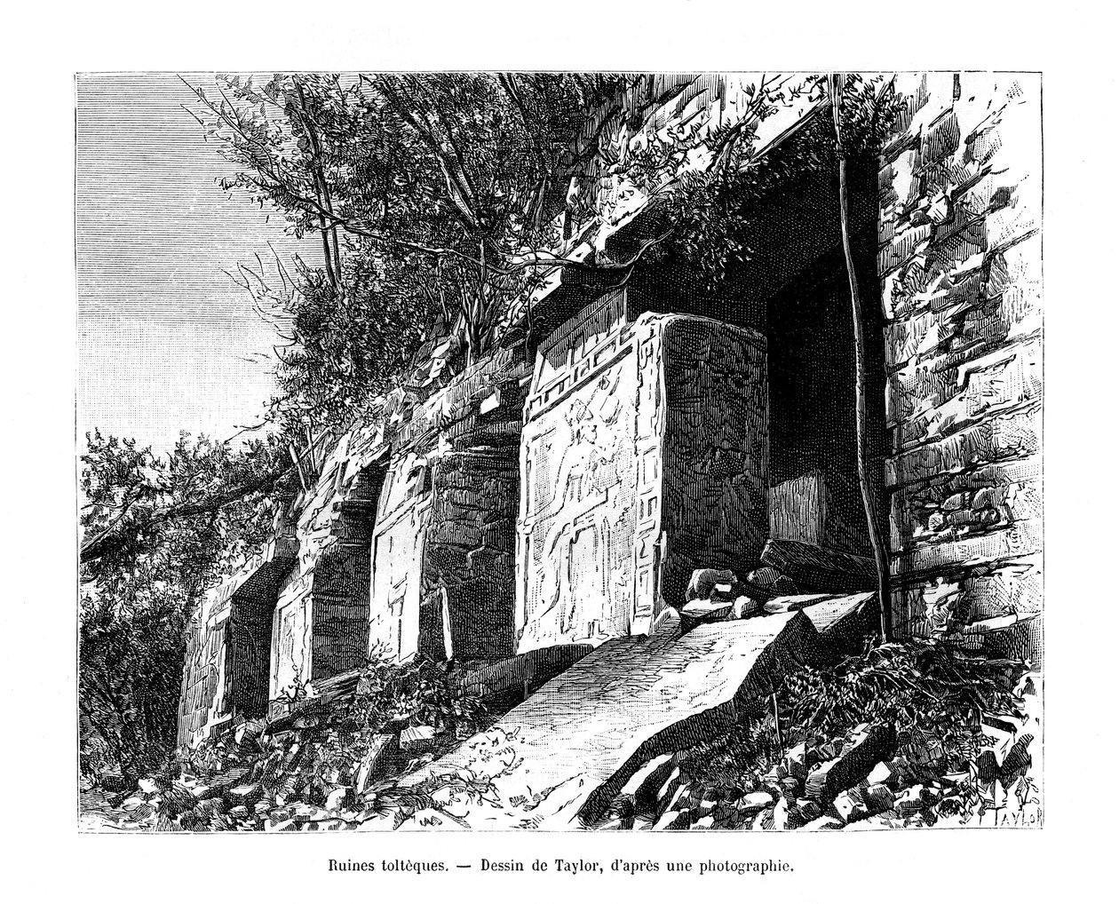 Rovine tolteche, Messico da Taylor