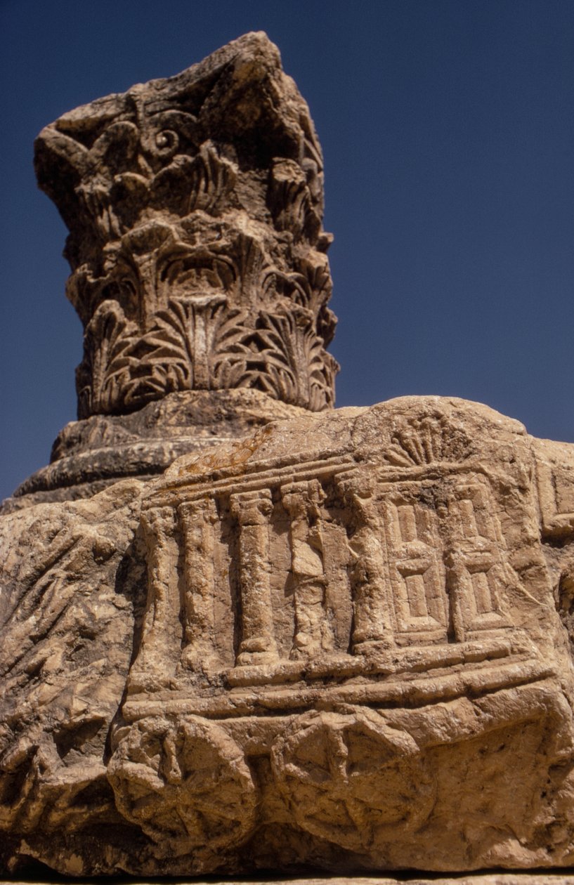 Rovine della sinagoga a Capernaum, Israele da Ted Spiegel