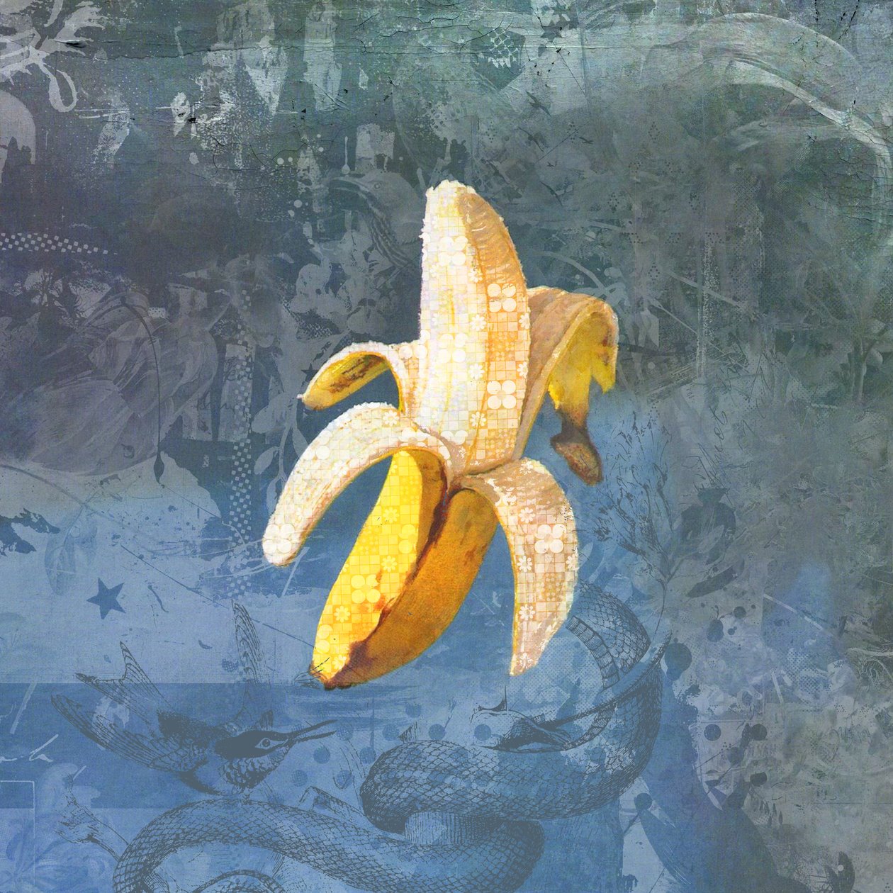 BANANAZ da Teis Albers
