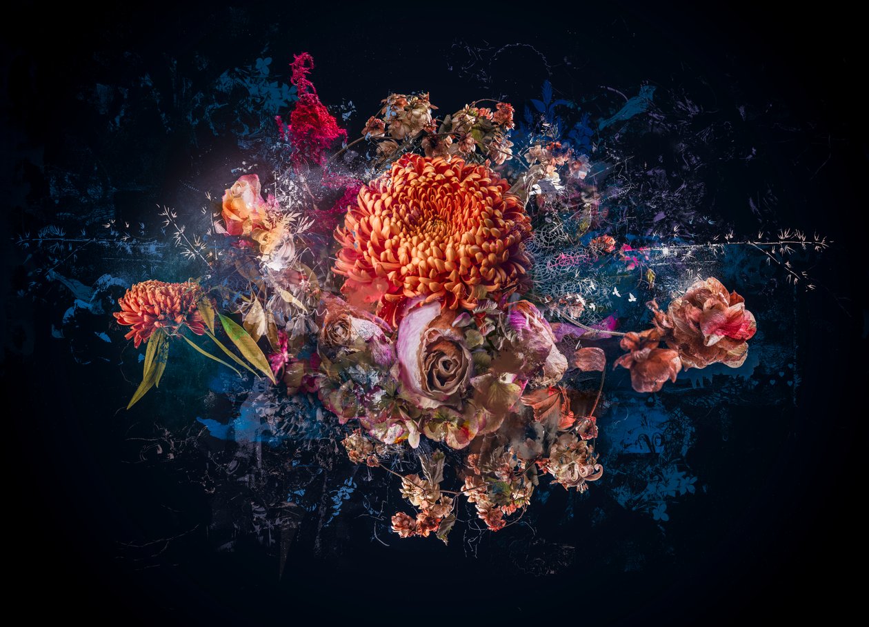 Collage di Bouquet da Teis Albers