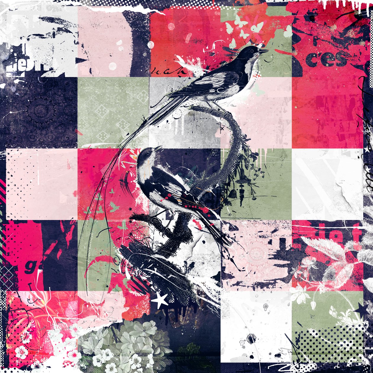 Trapunta naturale, 2013 da Teis Albers