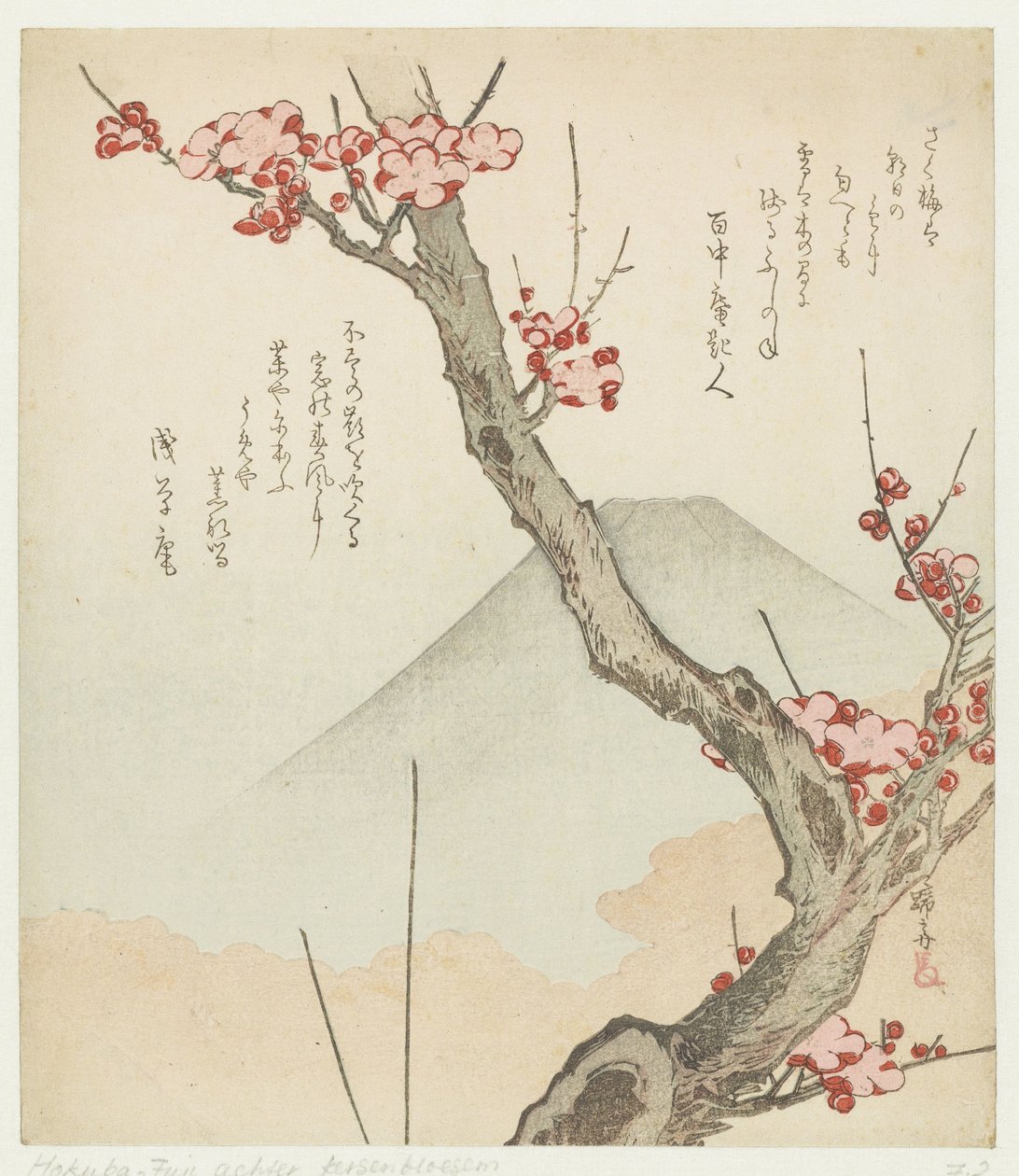Monte Fuji e un prugno in fiore da Teisai Hokuba