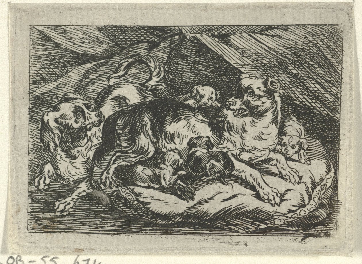 Nido con cuccioli da Tethart Philip Christian Haag
