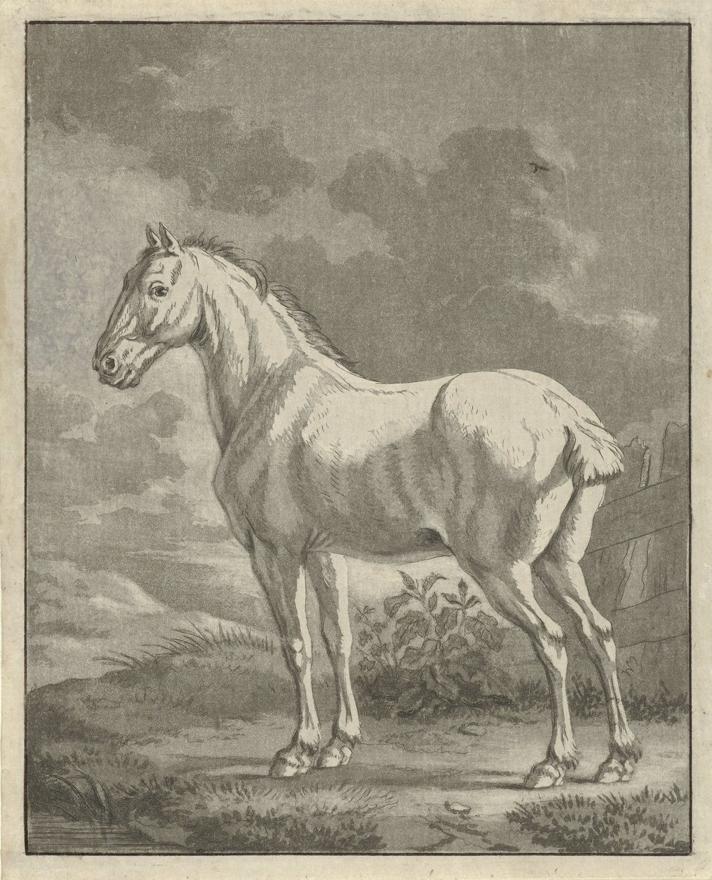 Cavallo bianco in un prato da Tethart Philip Christian Haag