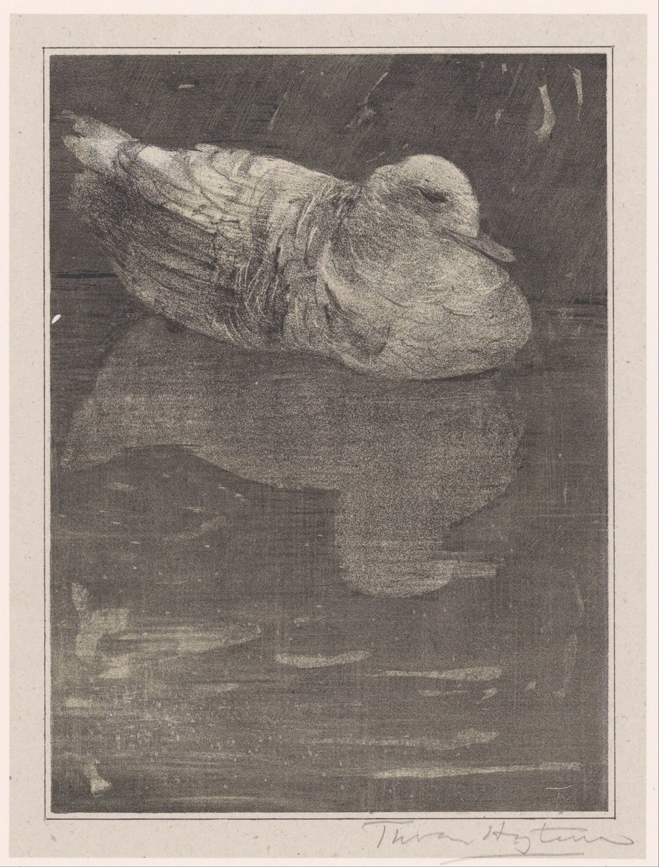 Anatra galleggiante da Theo van Hoytema (signed by artist)