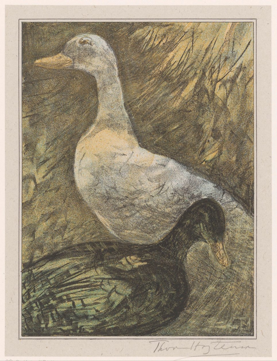 Due anatre in piedi da Theo van Hoytema (signed by artist)