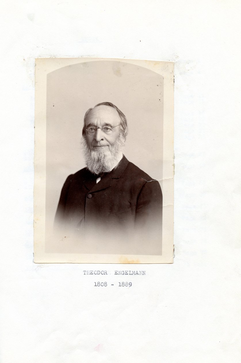 Reminiscenze di Theodore Engelmann da Theodor Engelmann