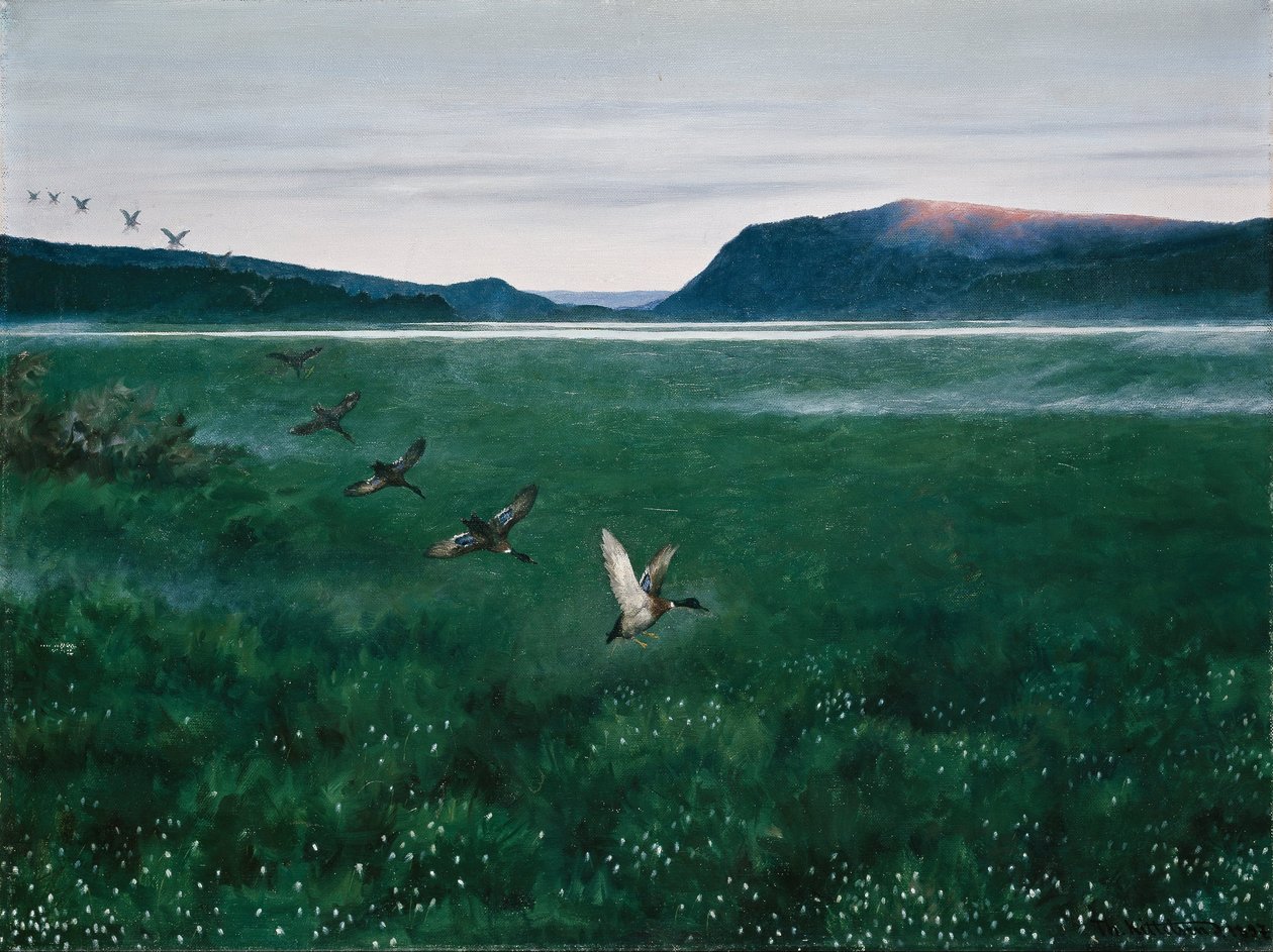 Le dodici anatre selvatiche da Theodor Kittelsen