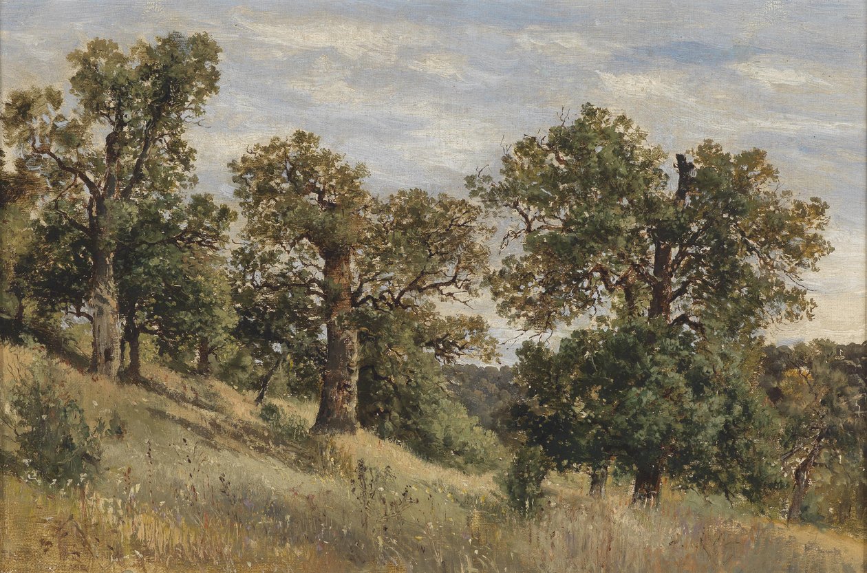 Pendio di montagna con albero da Theodor von Hormann
