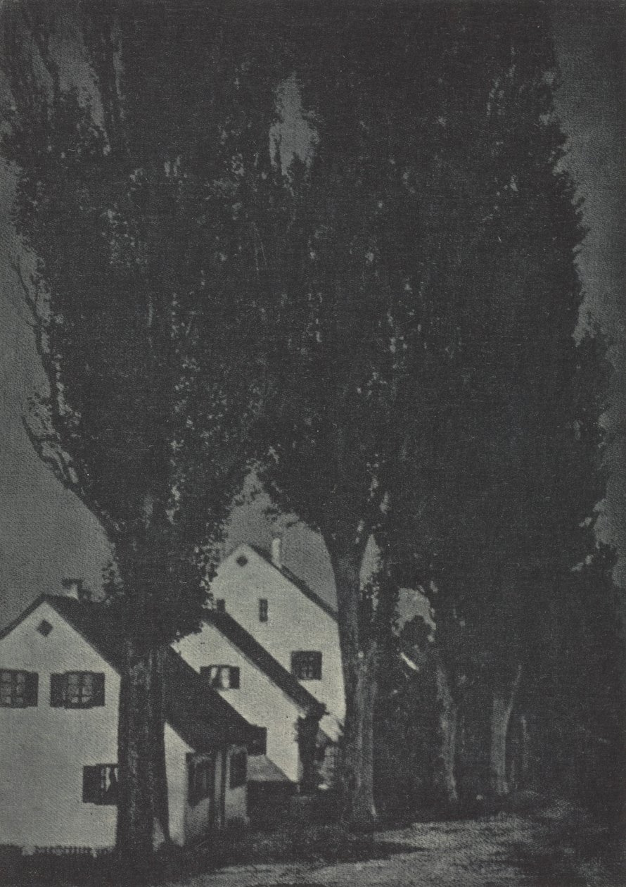 Camera Work: Dachau da Theodor Hofmeister