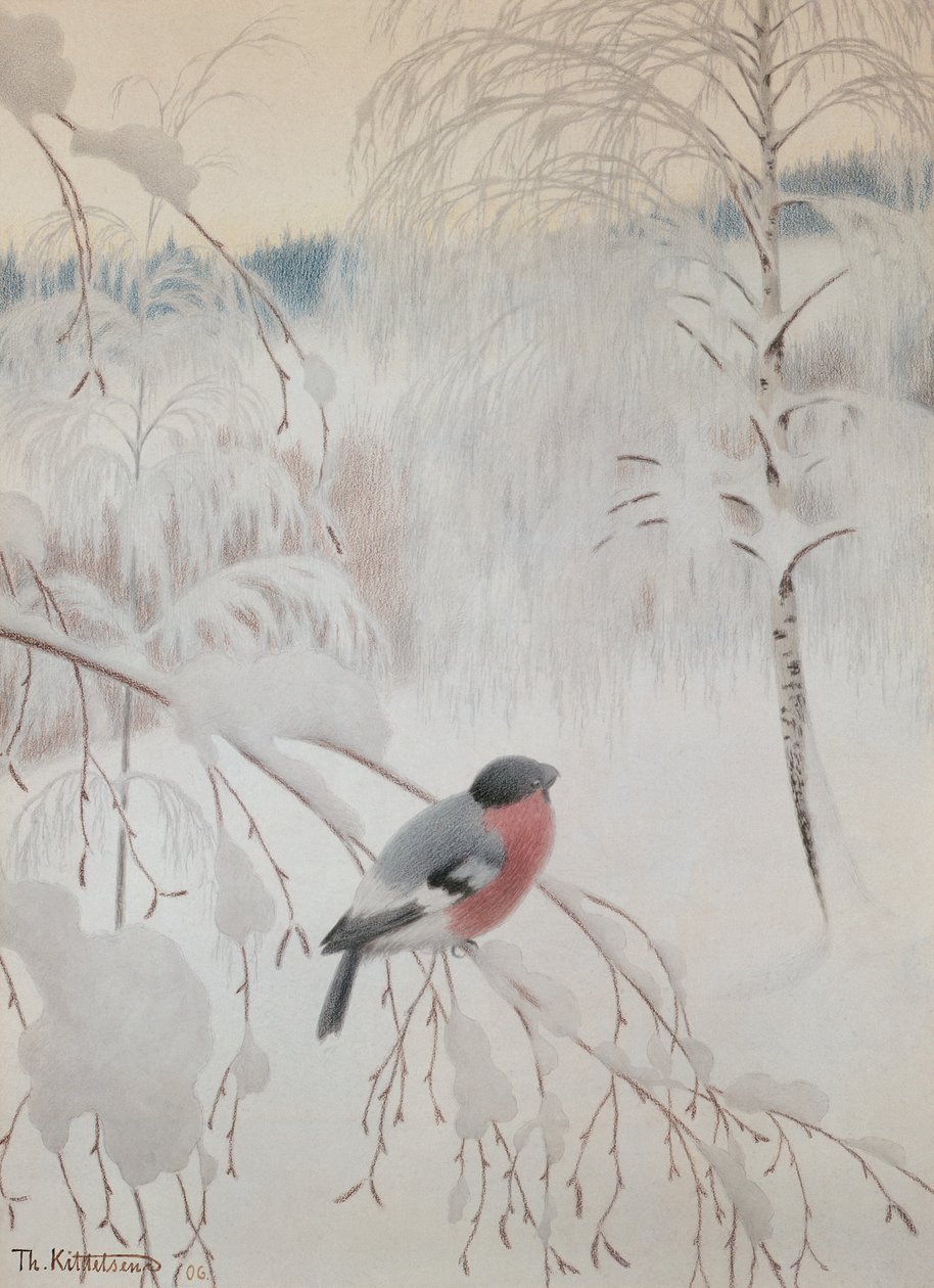 Cinciallegra da Theodor Kittelsen