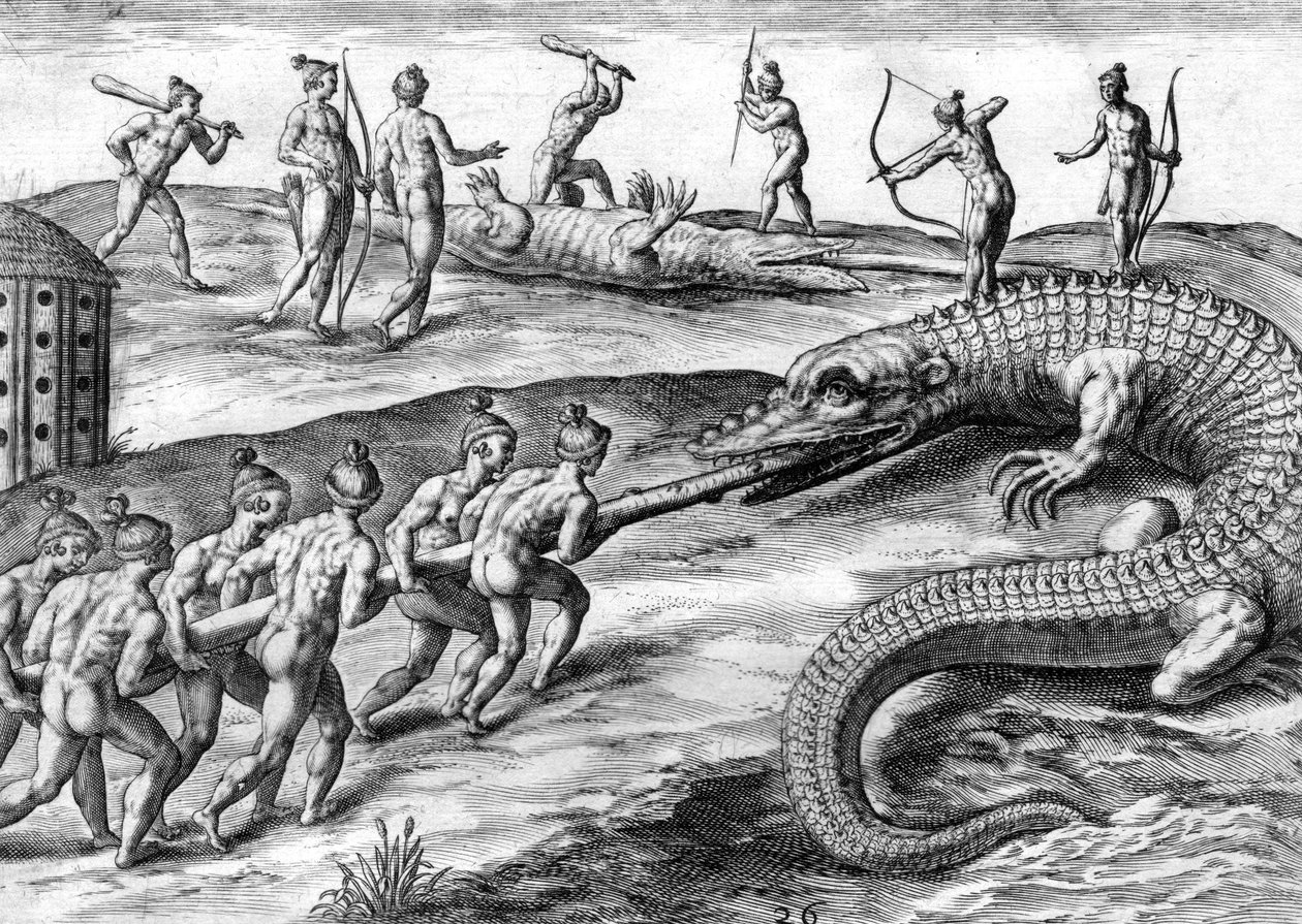Indiani Timucua che cacciano alligatori da Theodor de Bry