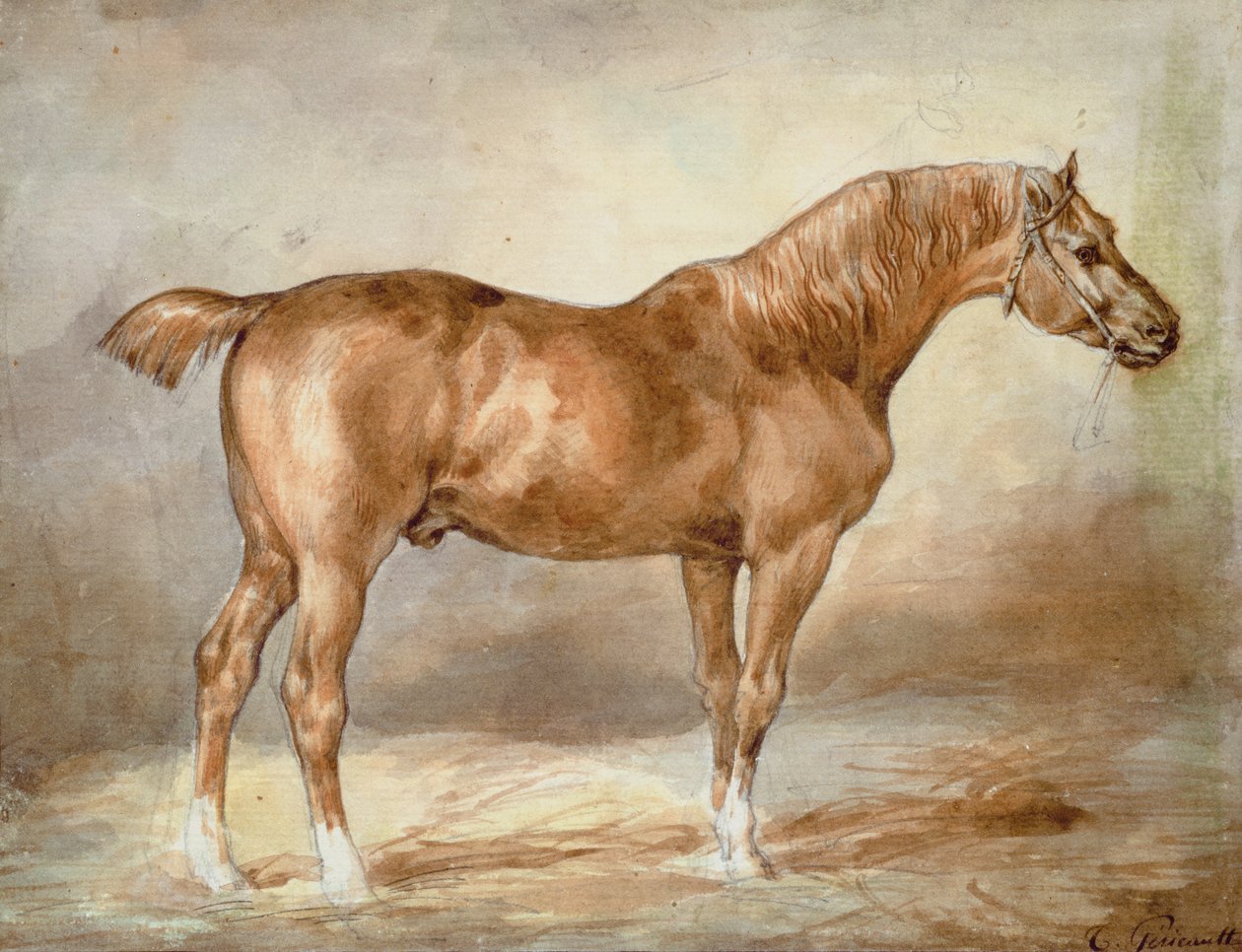 Un cavallo castano attraccato da Theodore Gericault