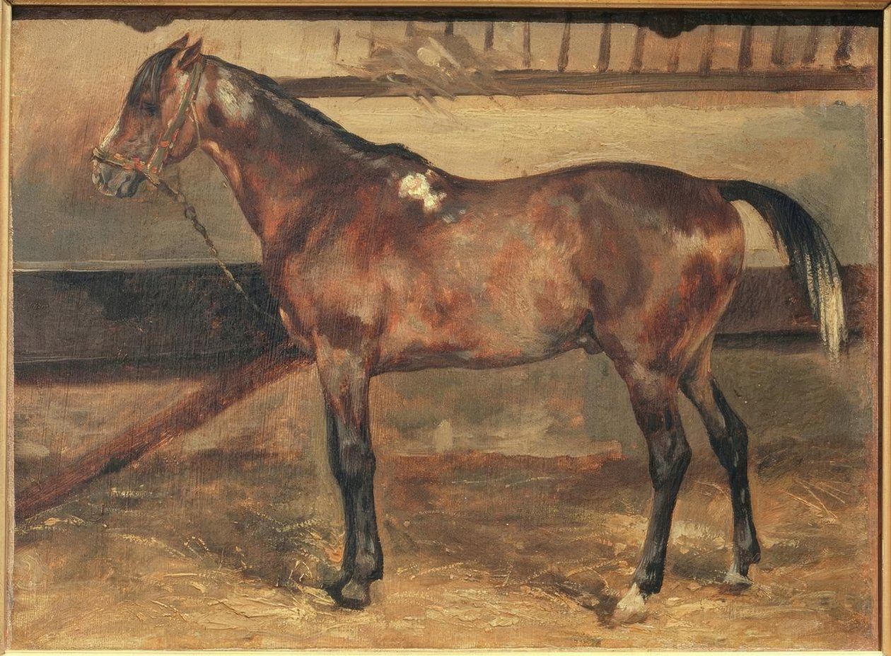 Cavallo marrone nella stalla da Theodore Gericault